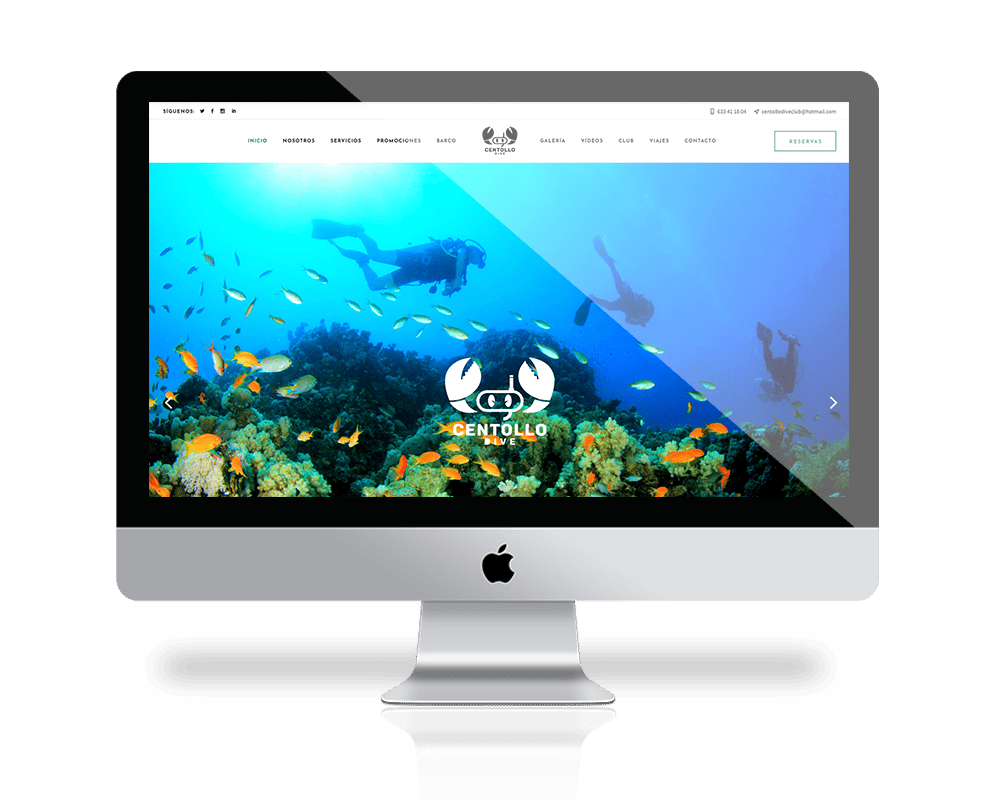 diseño web escuela surf