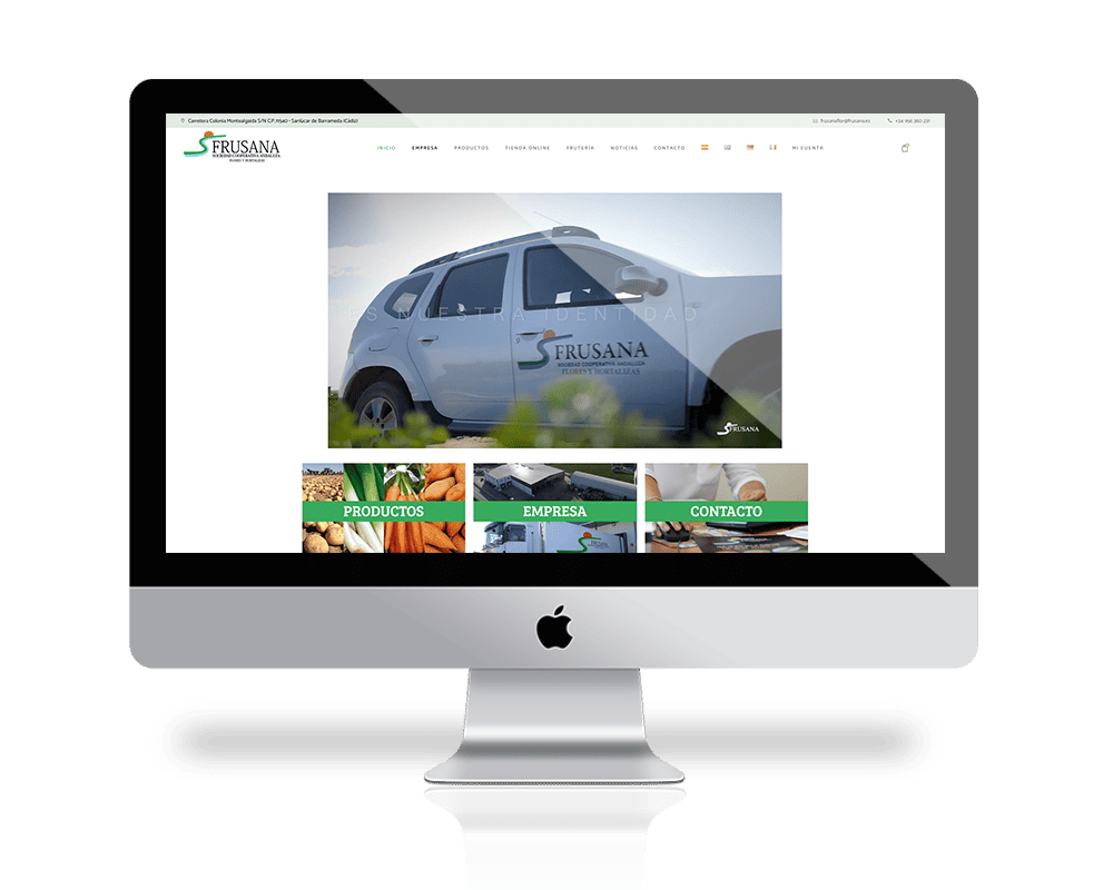 diseño web tienda online
